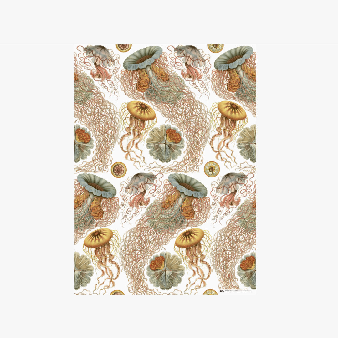 Art-Forms-in-Nature-2