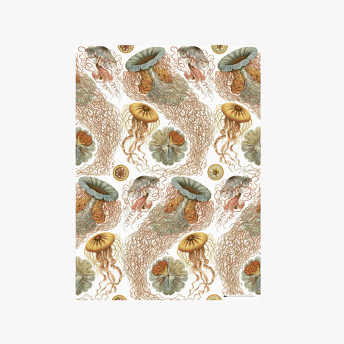 Art-Forms-in-Nature-2