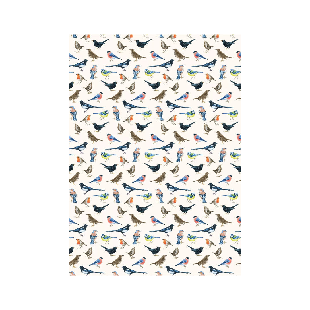 Birdsong