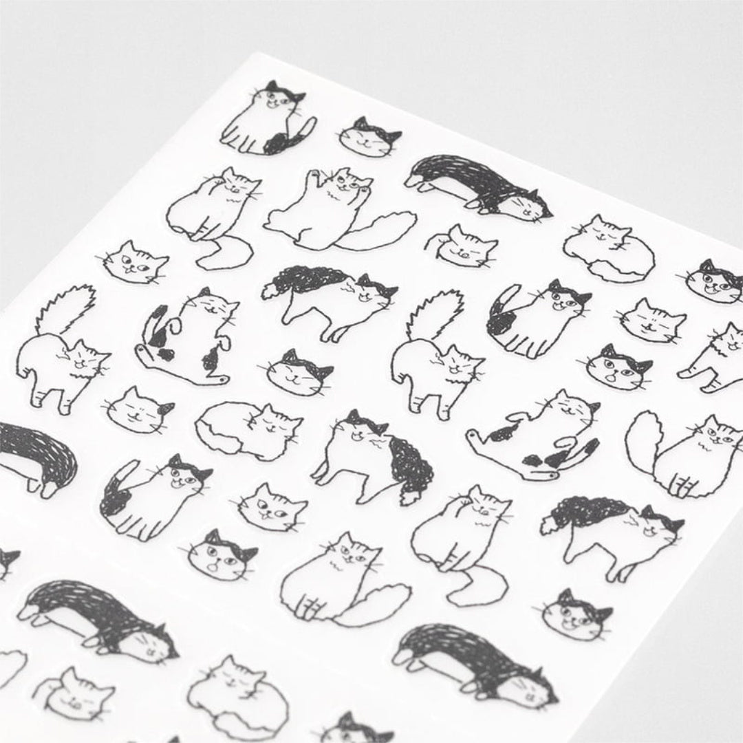 Chat-Cat-2