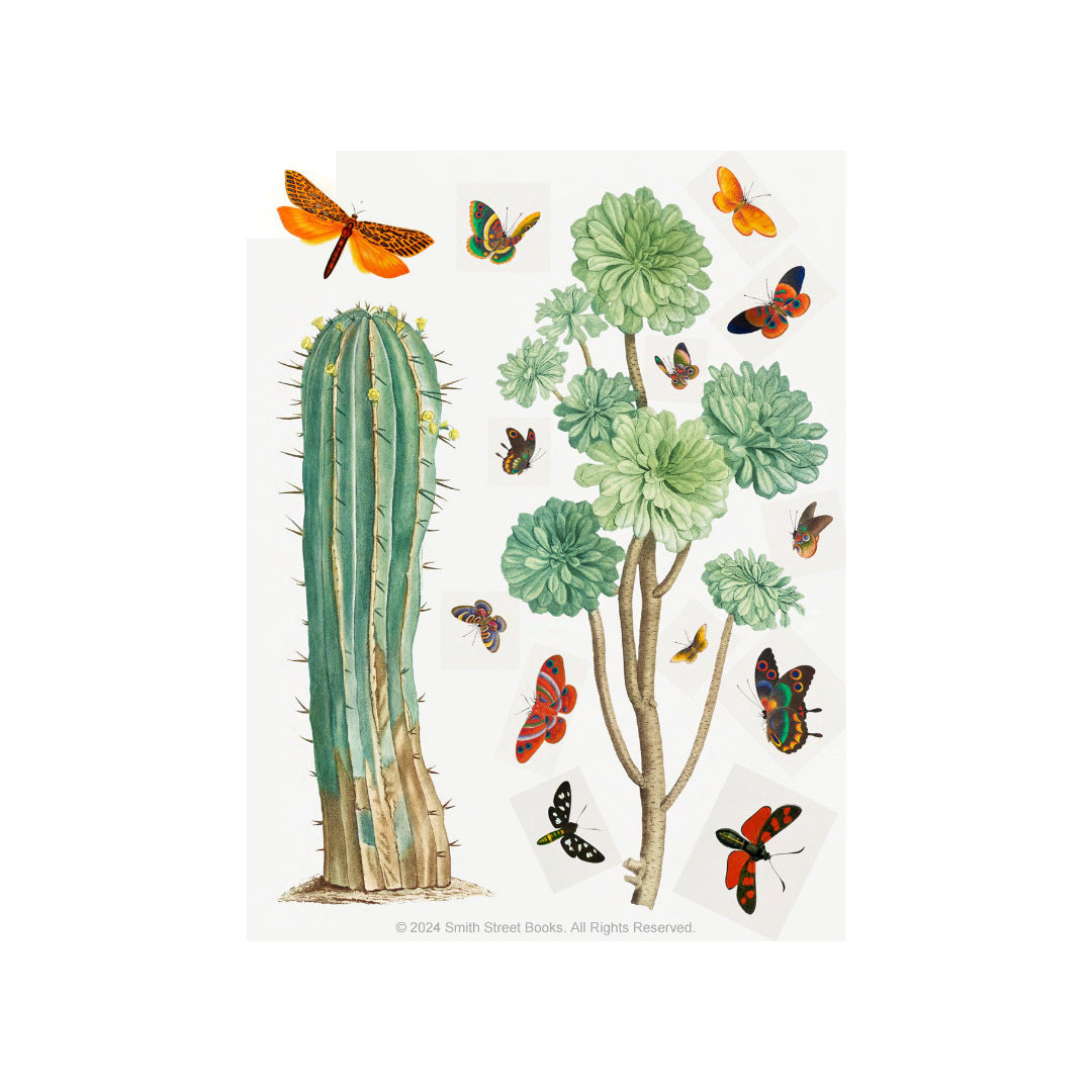 Cut-out-Curiosities-Botanica-3