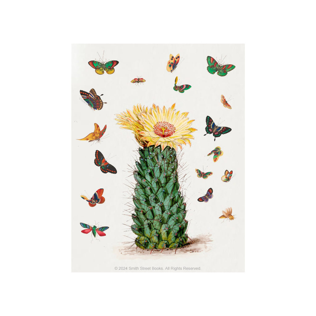 Cut-out-Curiosities-Botanica-4