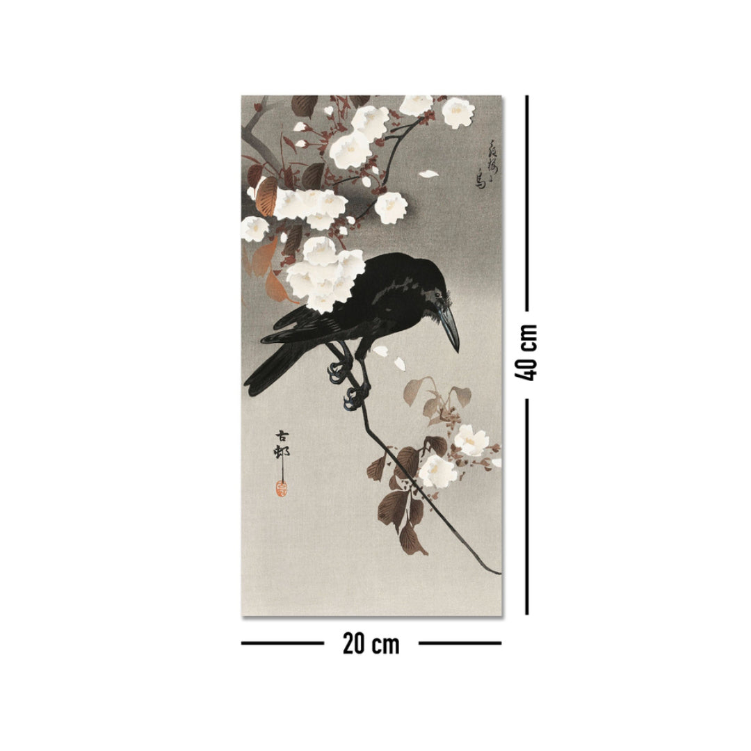 Korp-och-korsbarsblomma-2