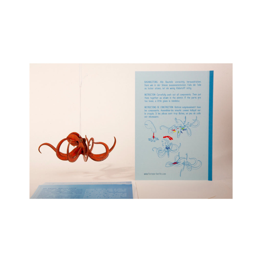Octopus-3dkort-2