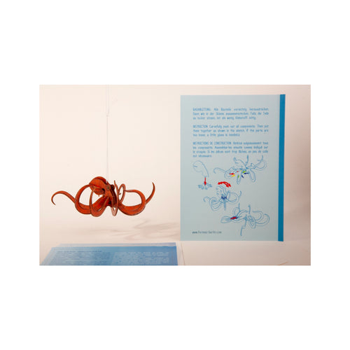 Octopus-3dkort-2