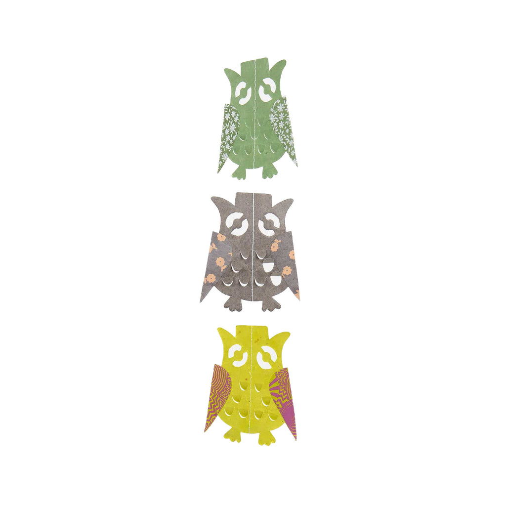 Owl-girlang-2