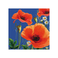 Poppy-field