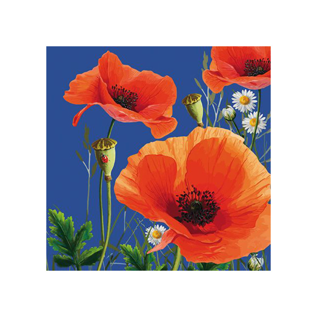 Poppy-field