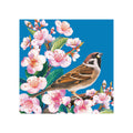 Sparrow-Blossom